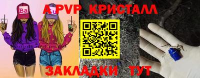 крисы Новокубанск