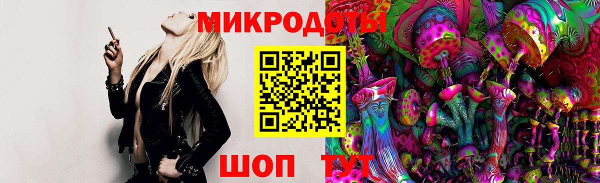 Псилоцибиновые грибы Cubensis Кисловодск